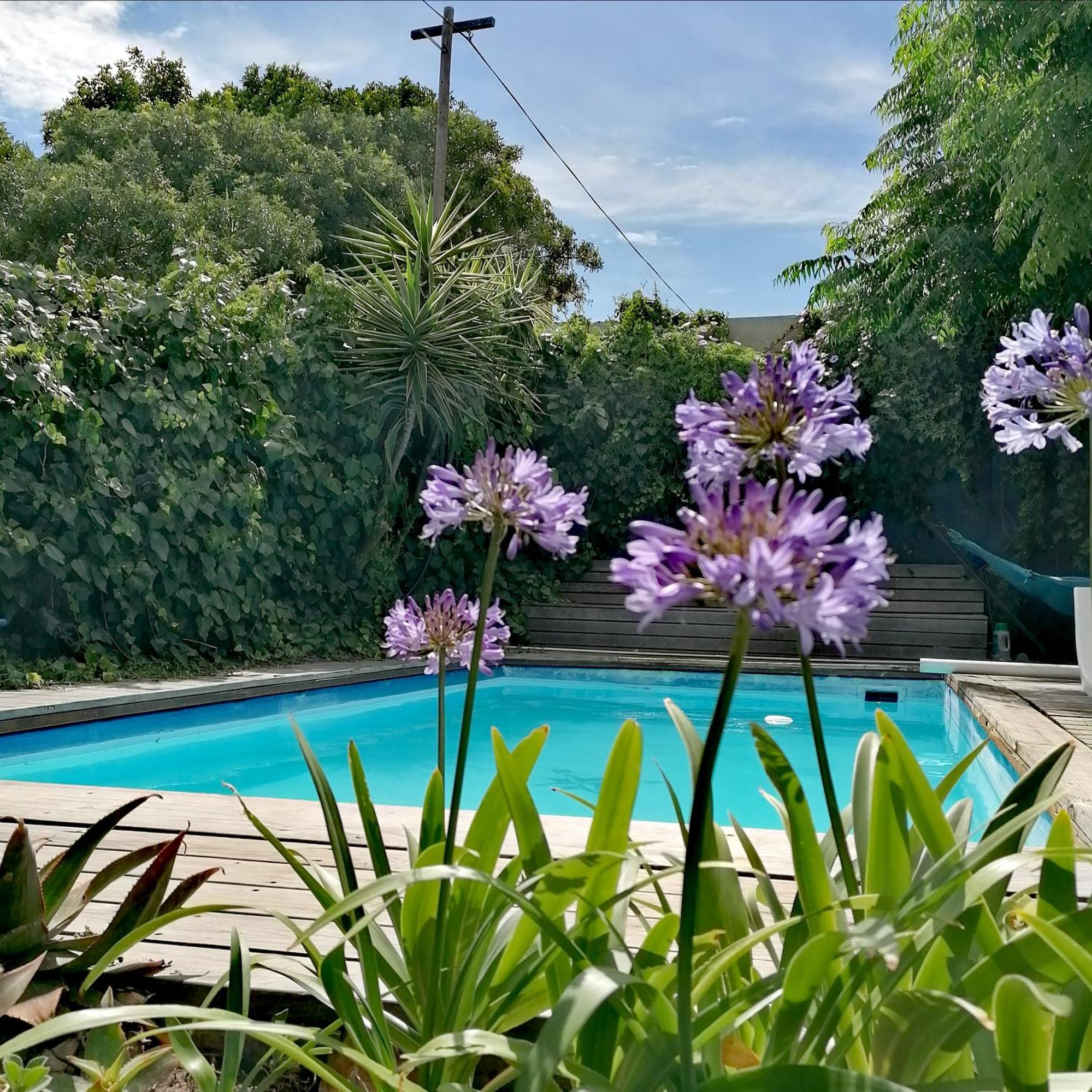 Aloha Lodge Città del Capo Esterno foto